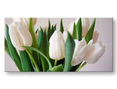Panorama wall painting FLOWERS Discount 60% 60X120 cm